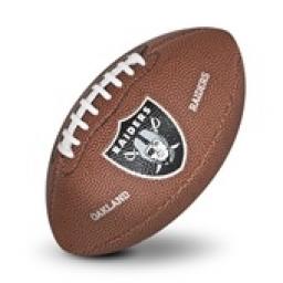 Wilson NFL MINI Team Logo football