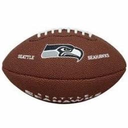 Wilson NFL MINI Team Logo football